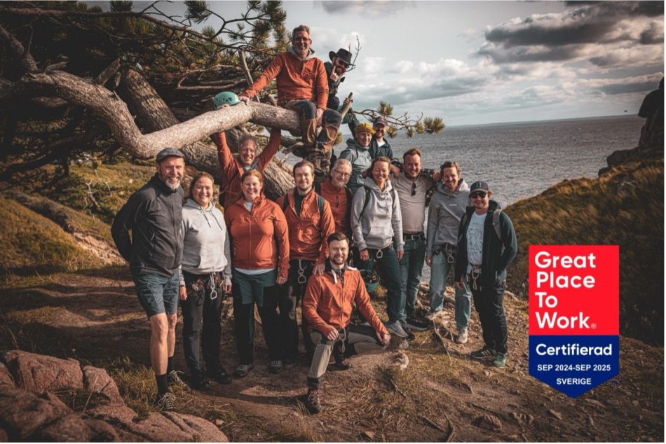 senior systemutvecklare